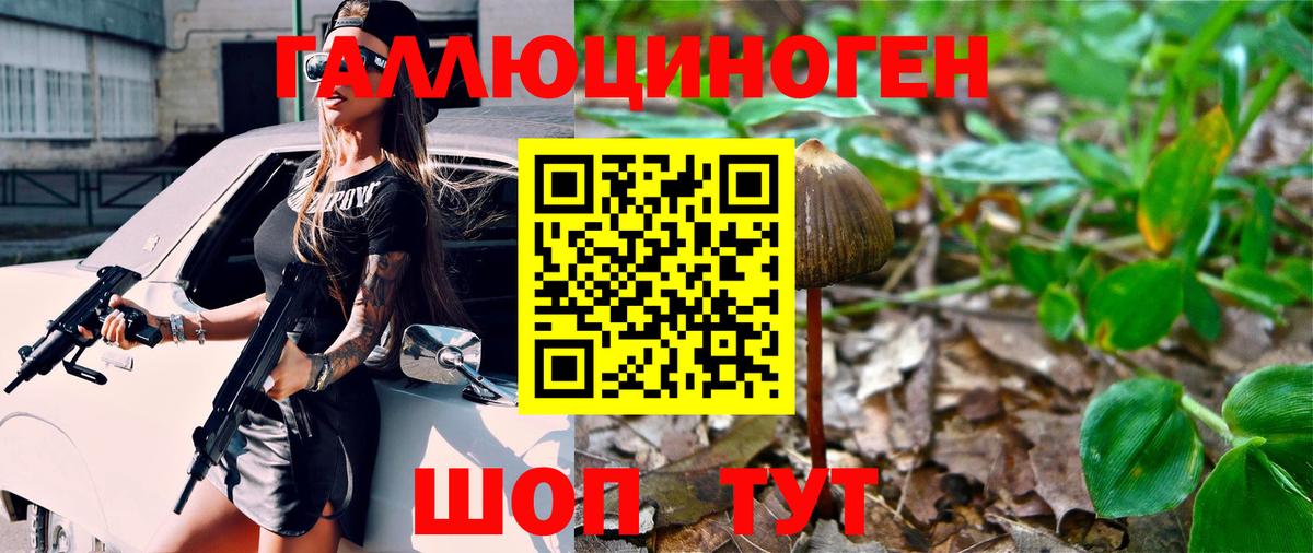 Тихорецк  Псилоцибиновые грибы MAGIC MUSHROOMS  Вход с VPN 