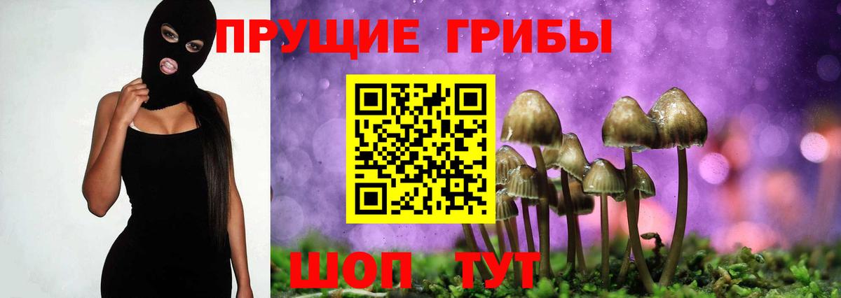 Галлюциногенные грибы Cubensis Тихорецк